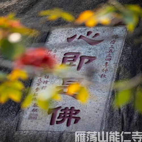 金马仑三宝寺万佛戒坛上堂法语其五