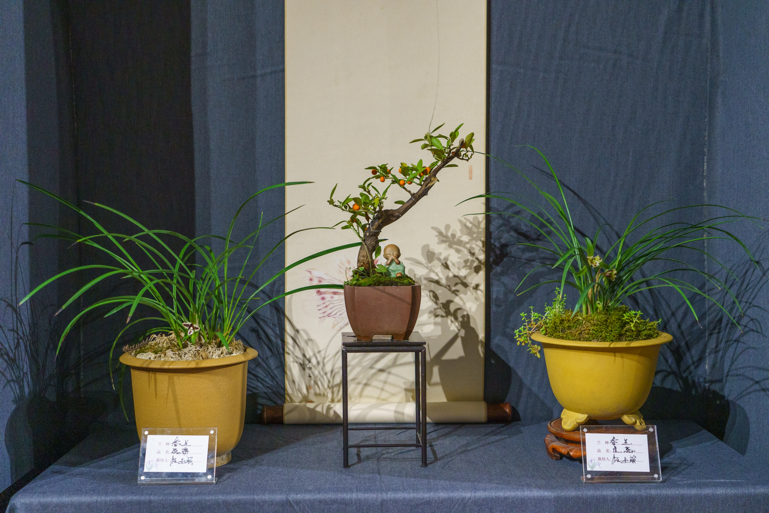 兰叶葳蕤｜雁荡山能仁寺素心“之江同心·瓯越兰馨”温州美丽寺院建设暨兰花展开幕圆满(图24)