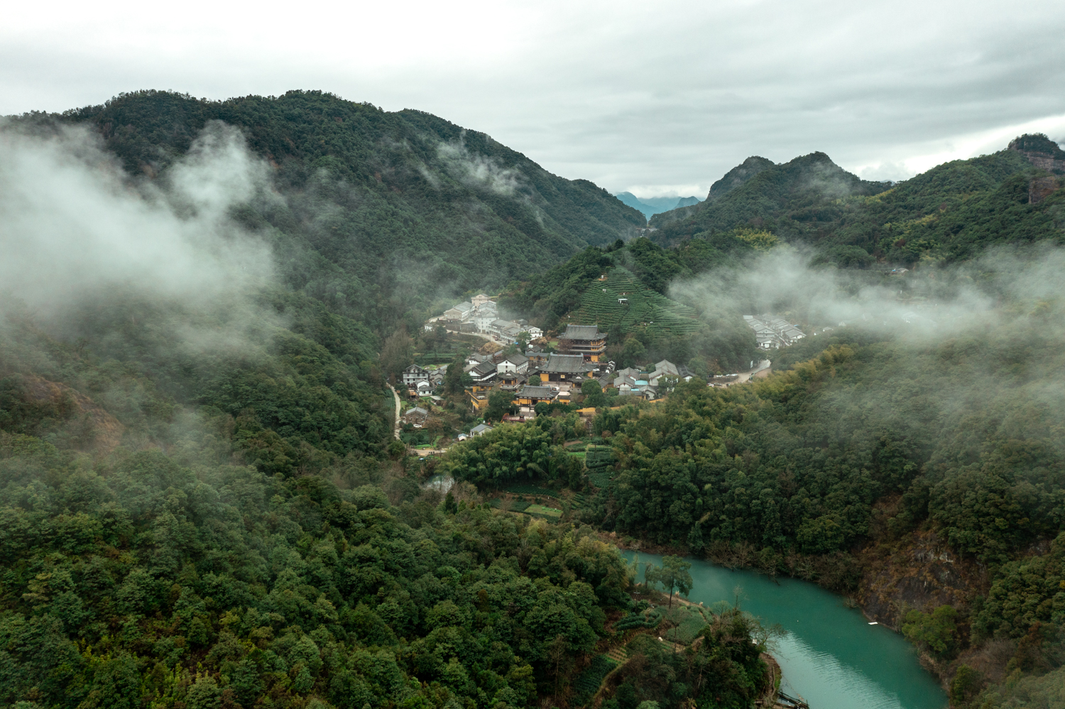 兰叶葳蕤｜雁荡山能仁寺素心“之江同心·瓯越兰馨”温州美丽寺院建设暨兰花展开幕圆满(图2)